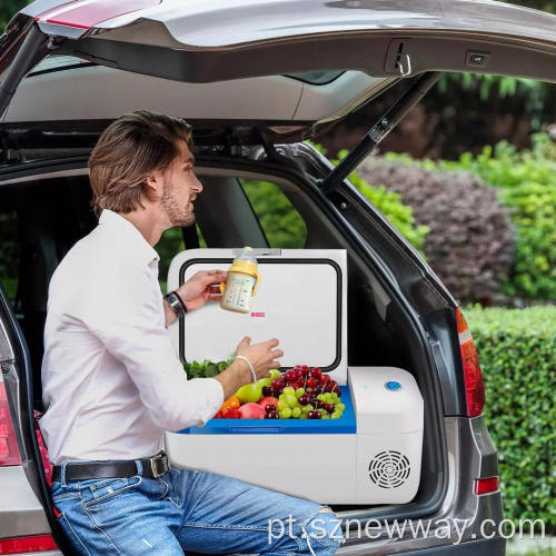 IndelB caixas frigoríficas 12L refrigerador de carro elétrico indelB H12